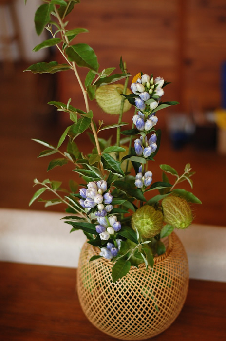 DSC_0151fl.jpg