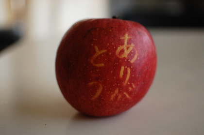 DSC_0170apple.jpg