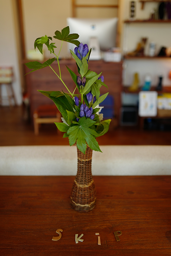 L1070108flw.jpg