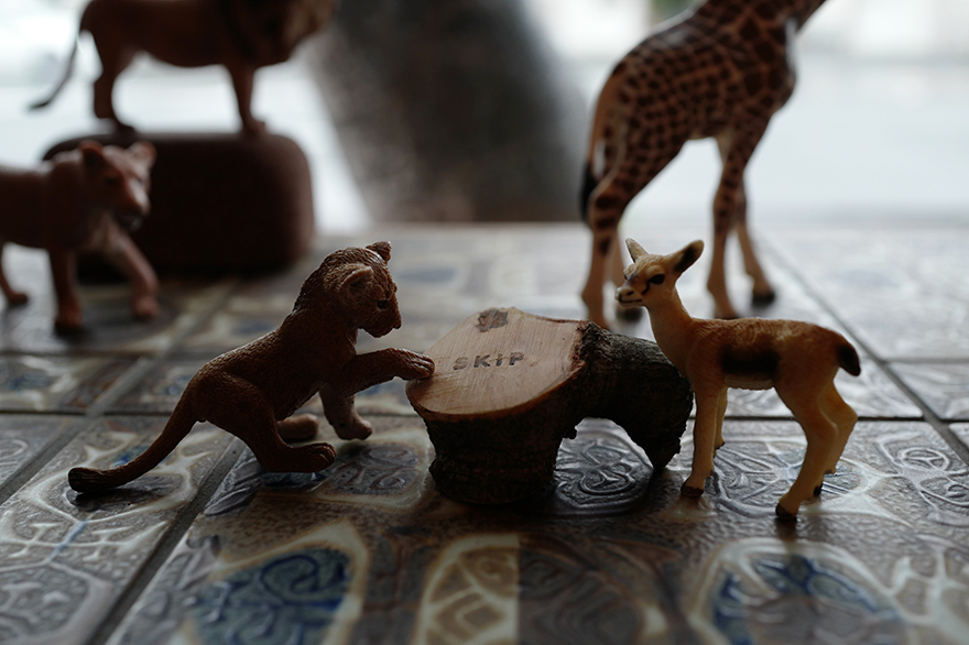 L1090173animal.jpg