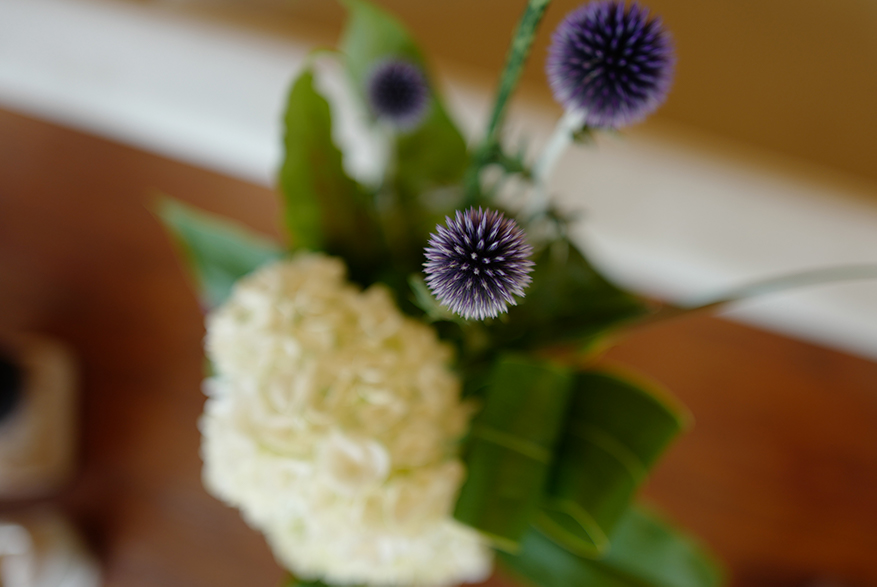 L1090182fl.jpg