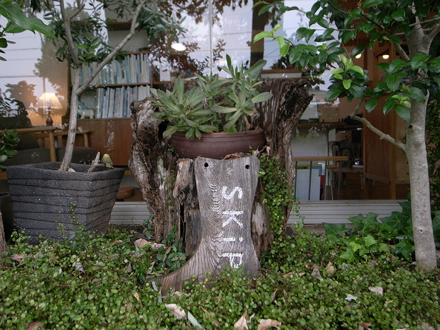 R0011865skip.jpg