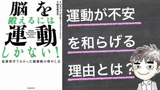 【書評】脳を鍛えるには運動しかない！ 〜 運動が不安をやわらげる理由とは？ 〜