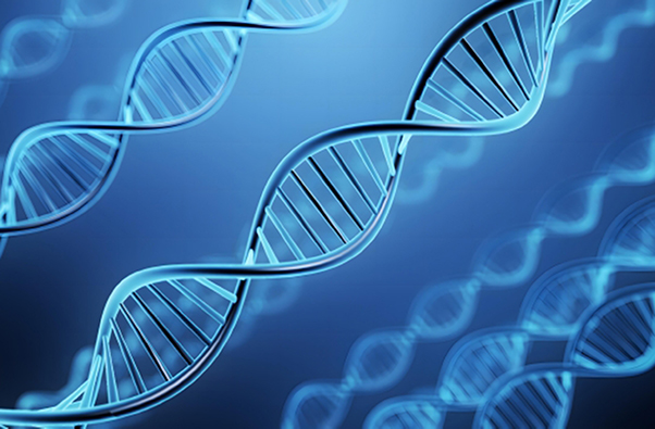 【5分解説#2】ヒトの寿命は歩くだけで変えられる!? 〜 染色体・テロメアの話 〜