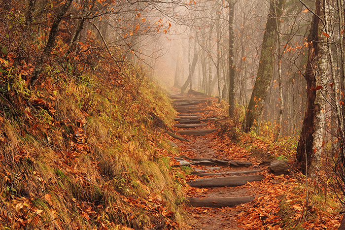 Appalachian-National-Scenic-Trail-Great-Smoky-Mountains.jpg